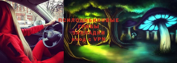 ешки Арсеньев