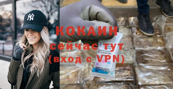 ешки Арсеньев