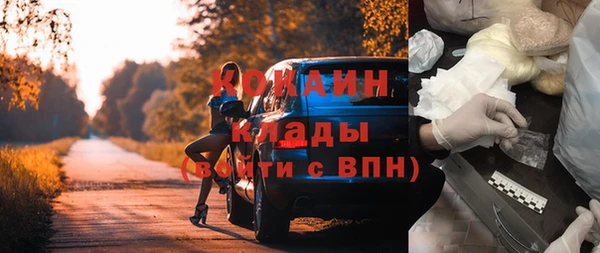 ешки Арсеньев