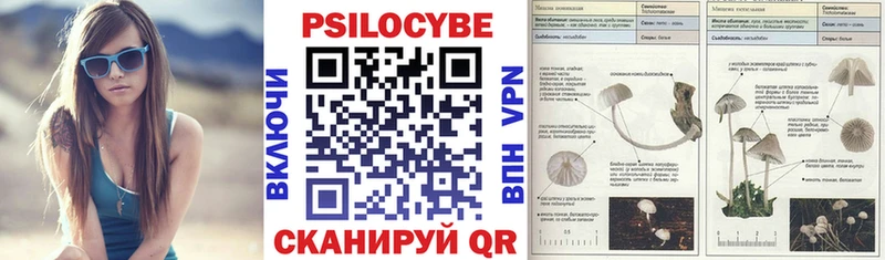 Галлюциногенные грибы Psilocybine cubensis  ссылка на мегу вход  Саяногорск 
